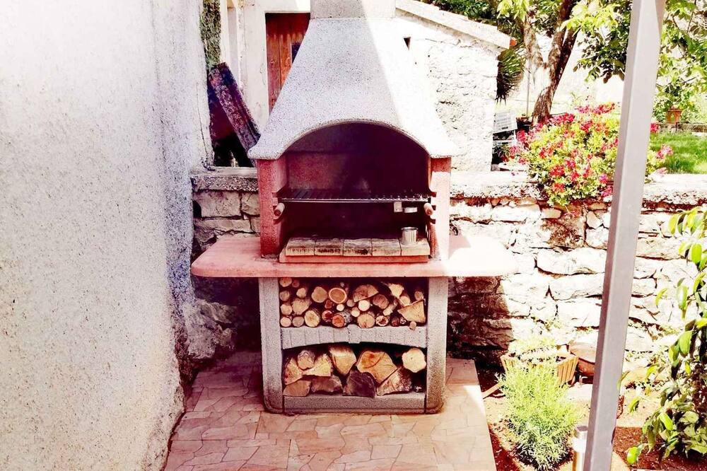 Photo of Outdoor in Boljevici