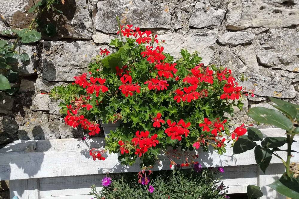 Photo of Outdoor in Boljevici