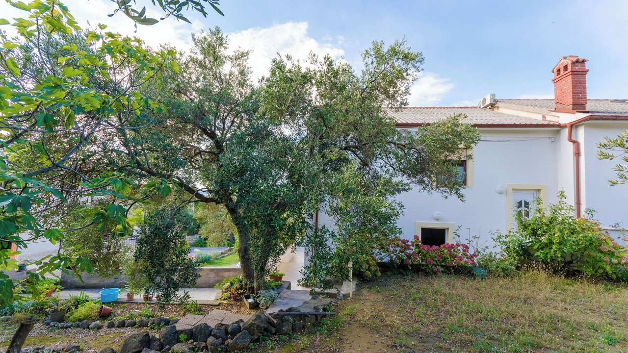Photo of Outdoor in Banjol