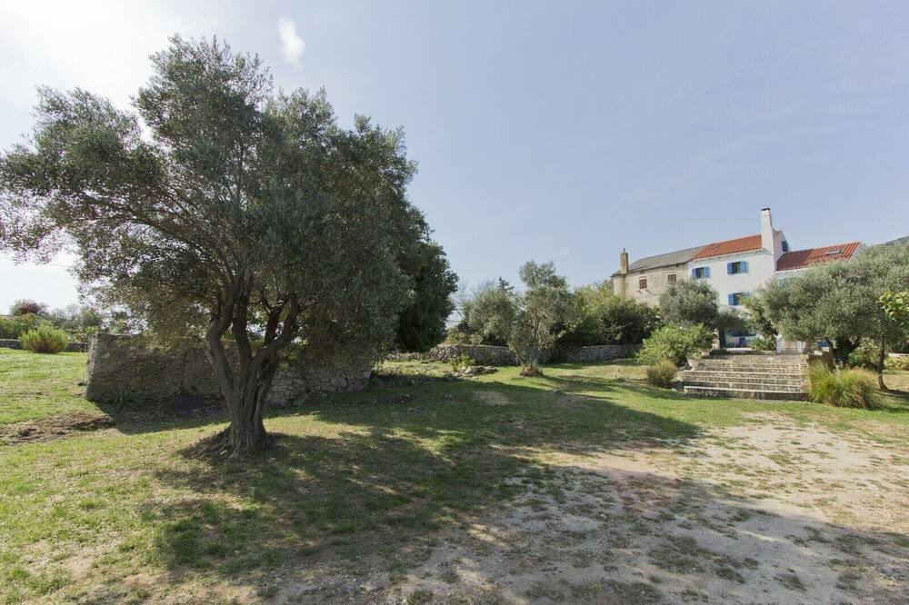 Photo of Outdoor in Nerezine
