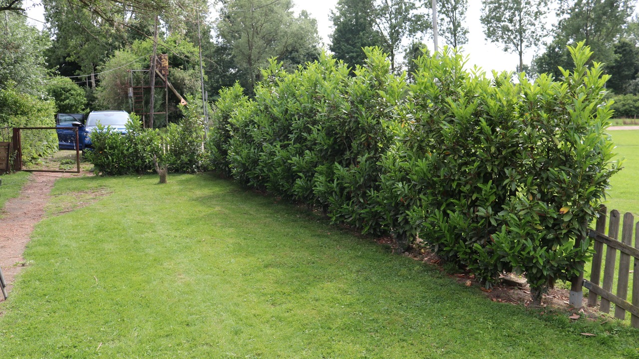 Photo of Outdoor in Roermond
