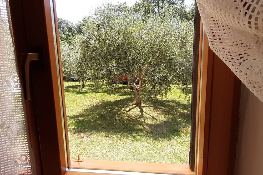 Photo of Patio Balcony in Medulin