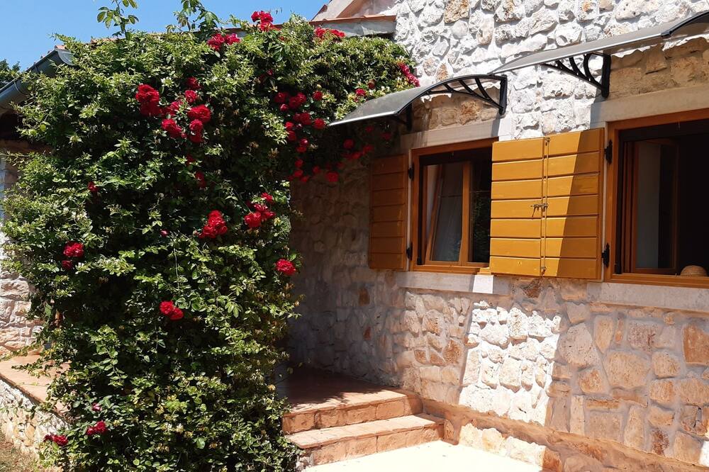 Photo of Outdoor in Medulin