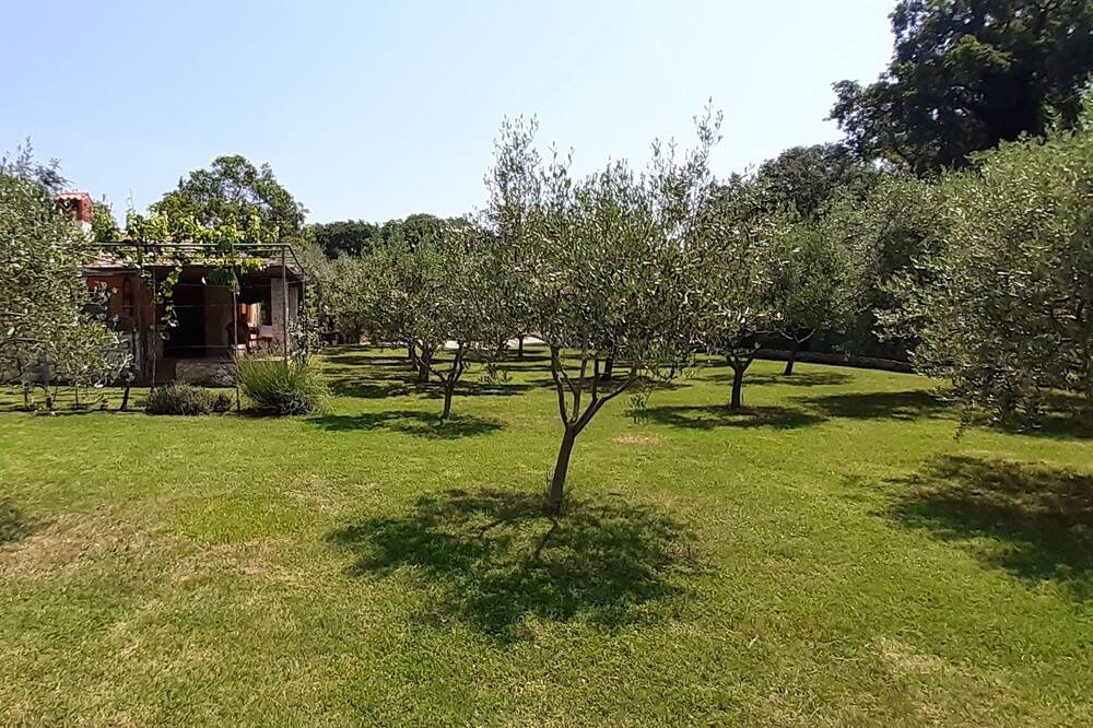 Photo of Outdoor in Medulin