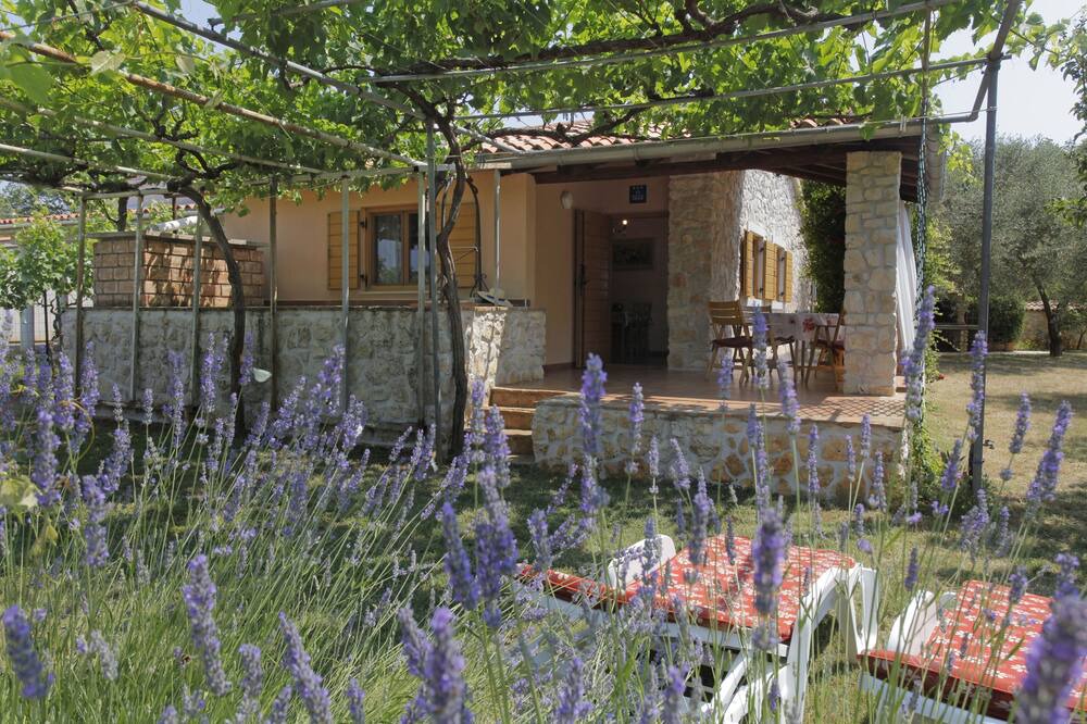 Photo of Outdoor in Medulin