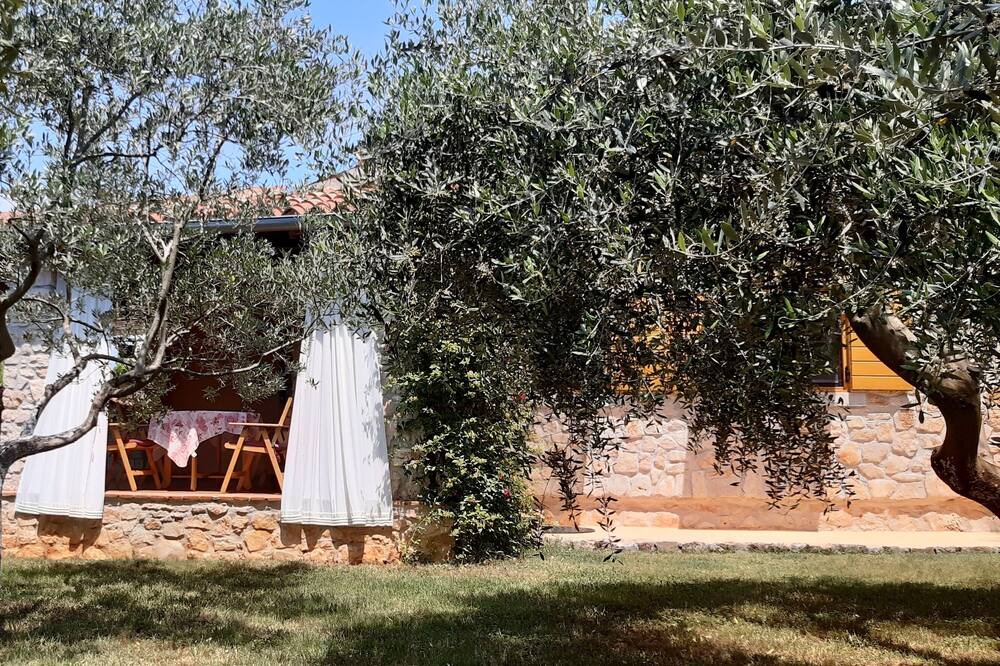 Photo of Outdoor in Medulin