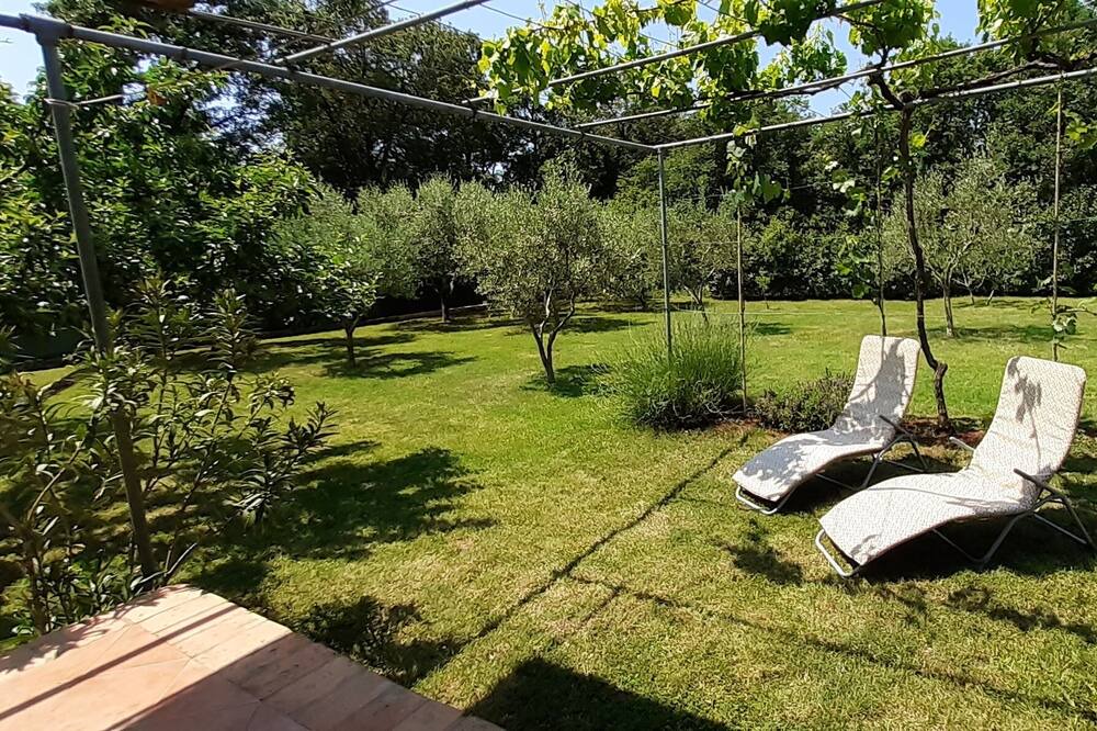 Photo of Outdoor in Medulin