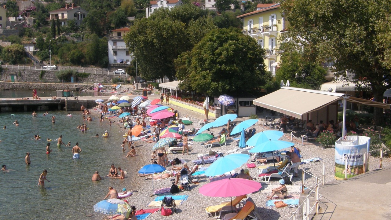 Photo of Others in Ika