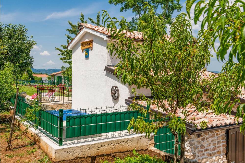 Photo of Outdoor in Boljevici