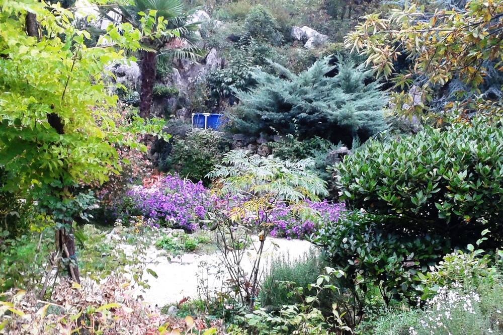 Photo of Outdoor in Opatija