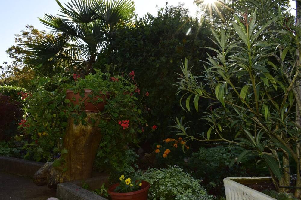 Photo of Outdoor in Marsici