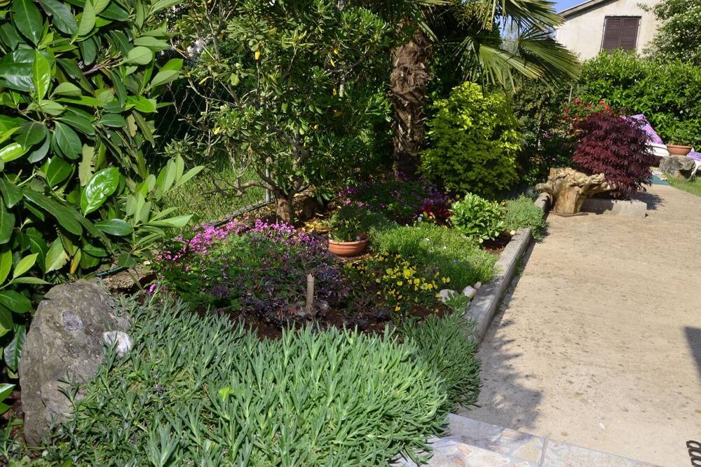 Photo of Outdoor in Marsici