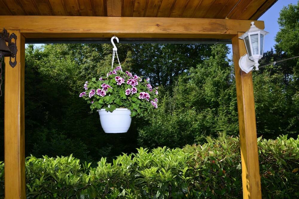 Photo of Outdoor in Marsici