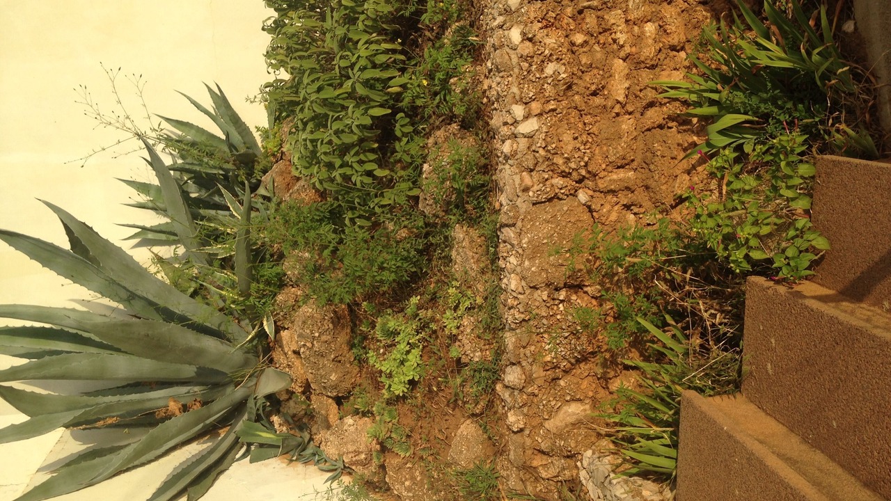 Photo of Outdoor in Medici