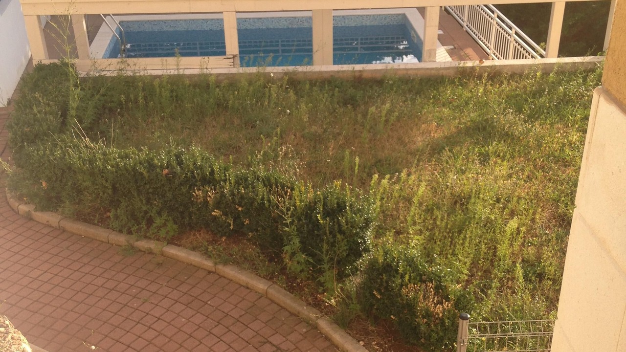 Photo of Outdoor in Medici
