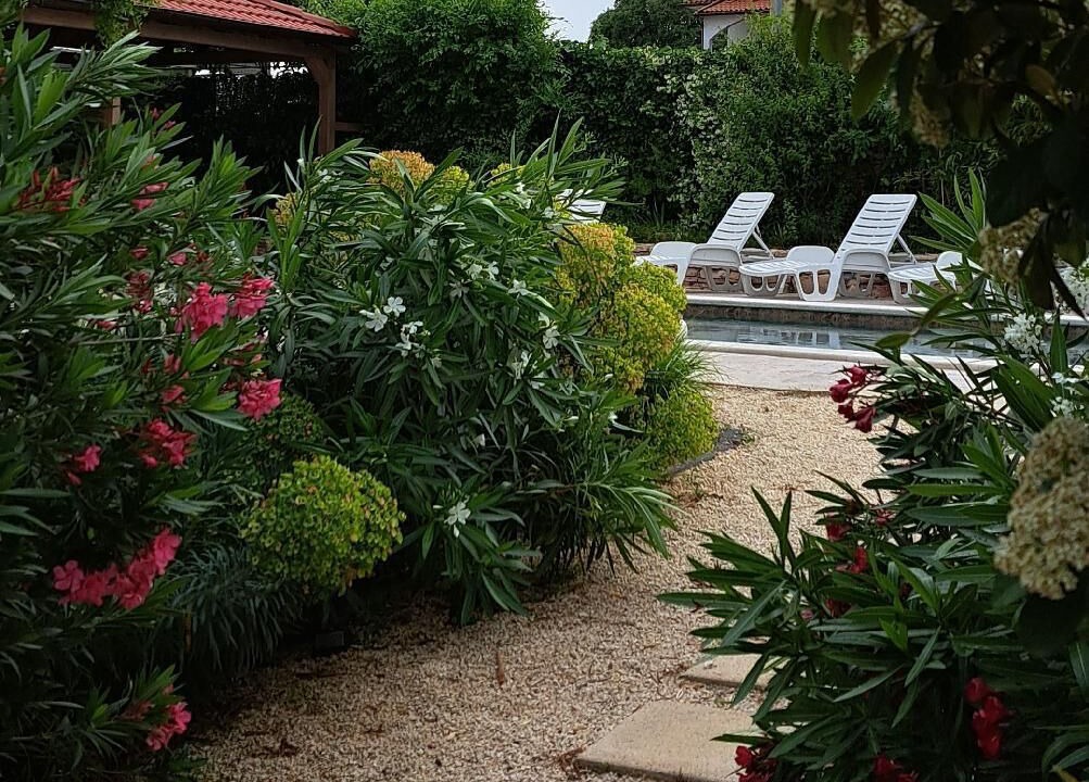 Photo of Outdoor in Muntic