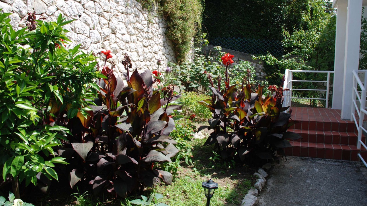 Photo of Outdoor in Banjol