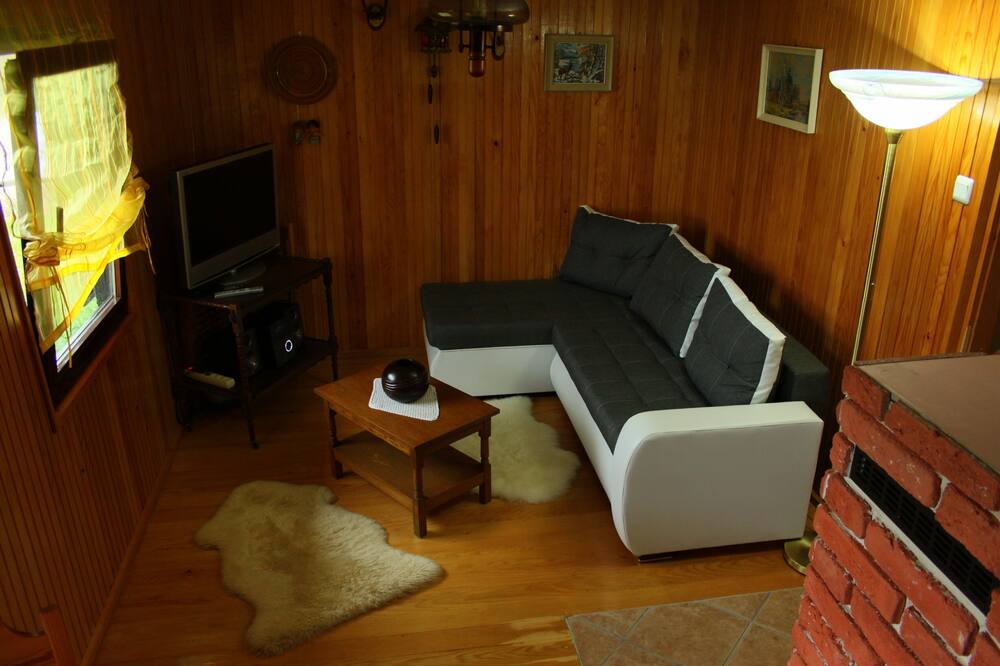 Photo of Livingroom in Brestova Draga