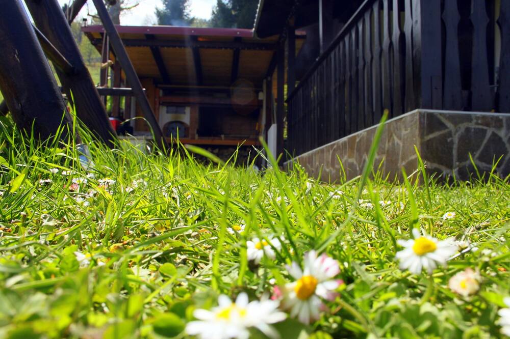 Photo of Outdoor in Brestova Draga
