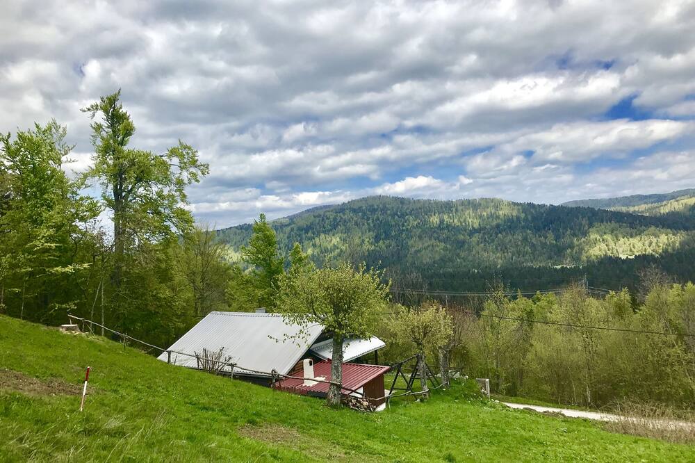 Photo of Outdoor in Brestova Draga