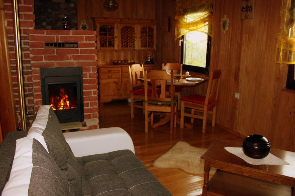 Photo of Livingroom in Brestova Draga