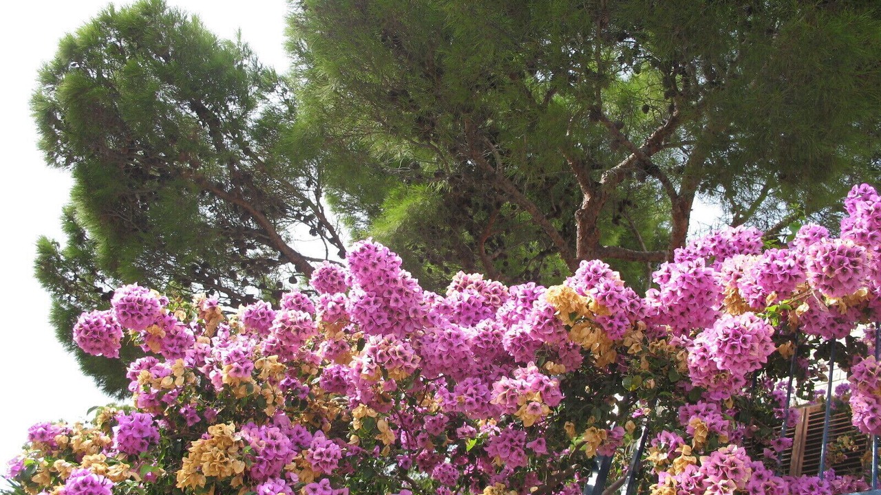 Photo of Outdoor in Donje Selo