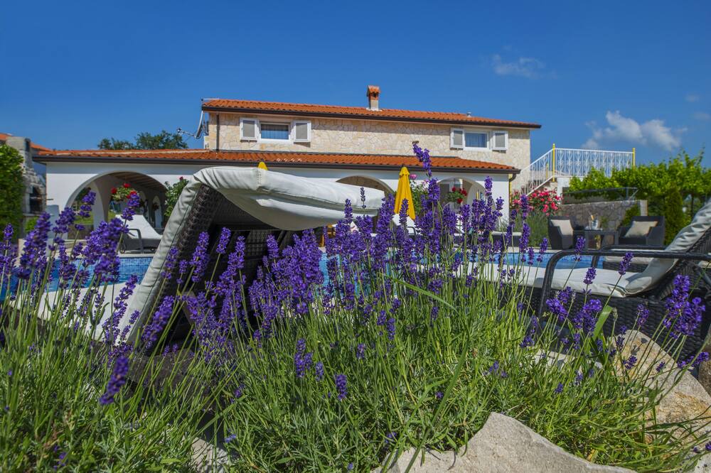 Photo of Outdoor in Ripenda Verbanci