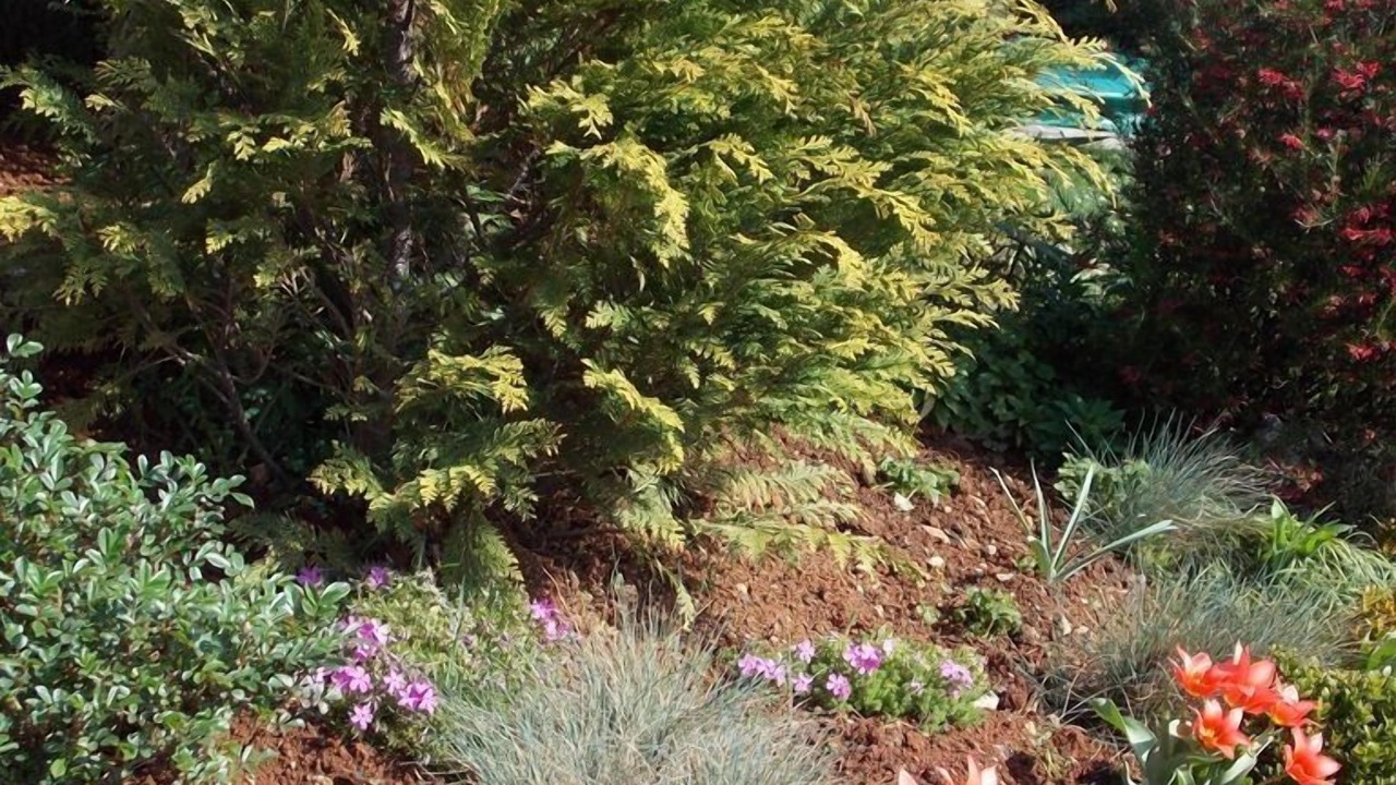 Photo of Outdoor in Opric