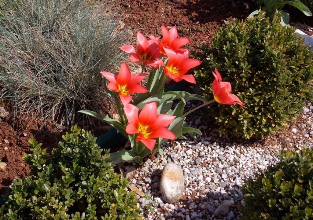 Photo of Outdoor in Opric