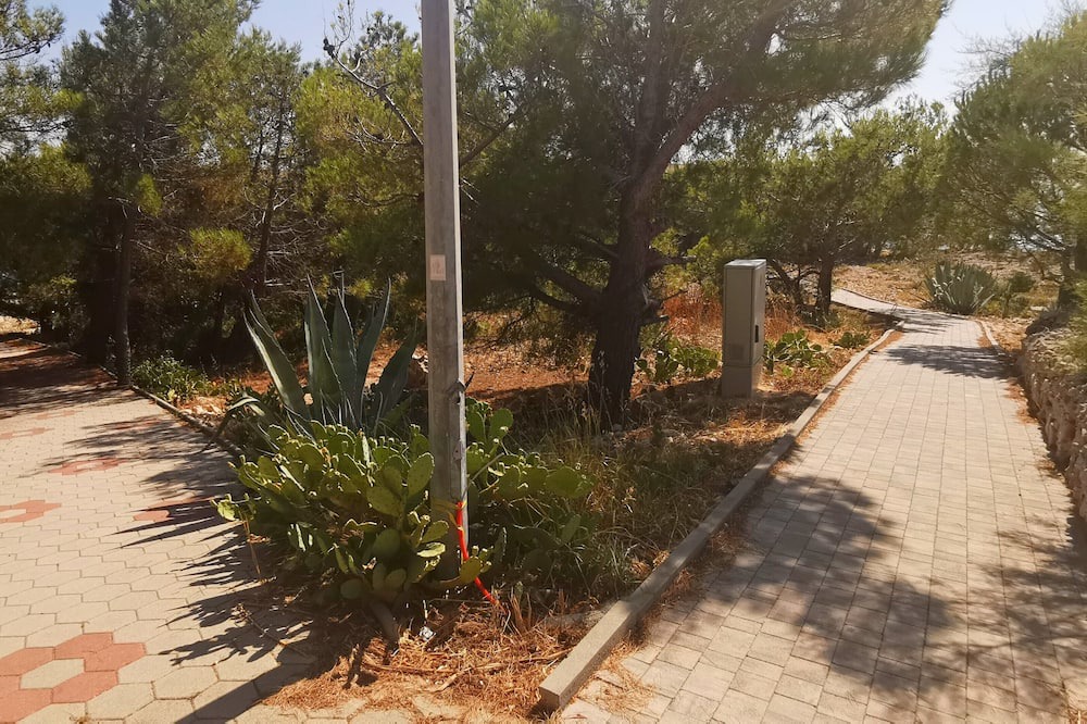 Photo of Outdoor in Vidalici