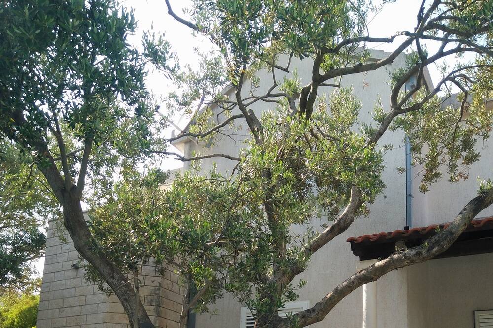 Photo of Outdoor in Okrug Gornji