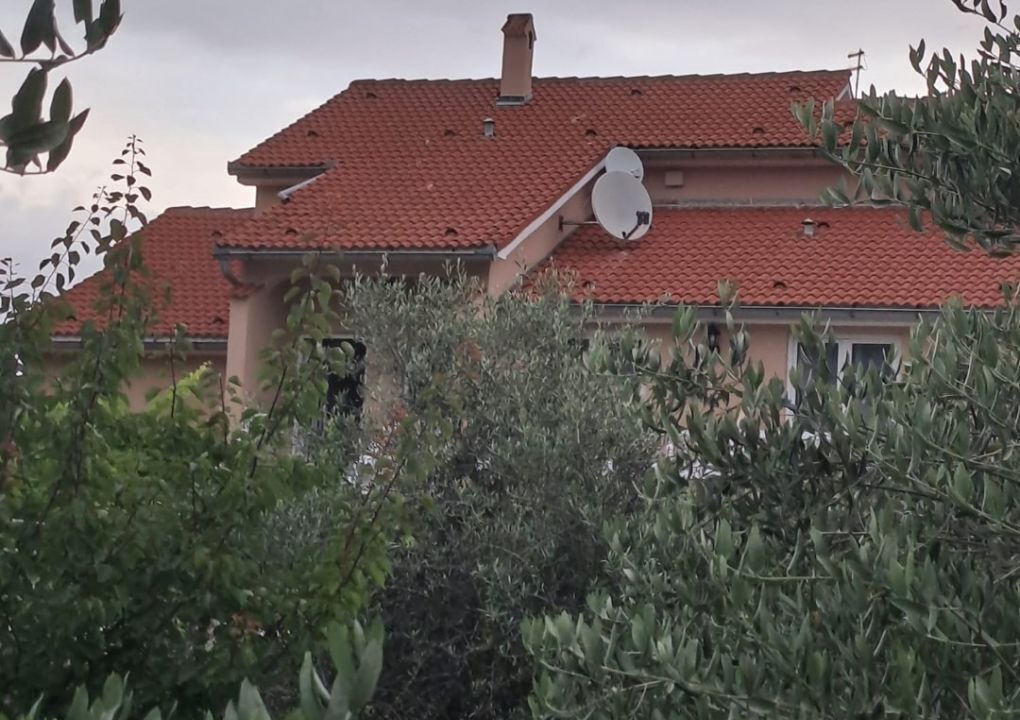 Photo of Outdoor in Supetarska Draga