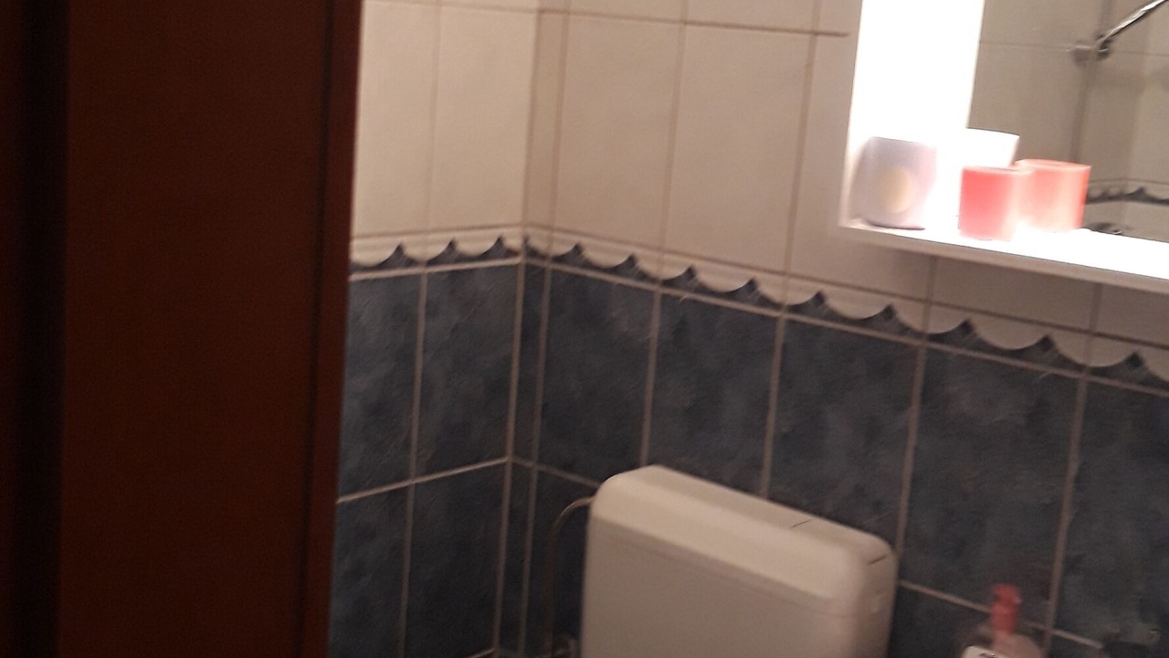Photo of Bathroom in Donje Selo