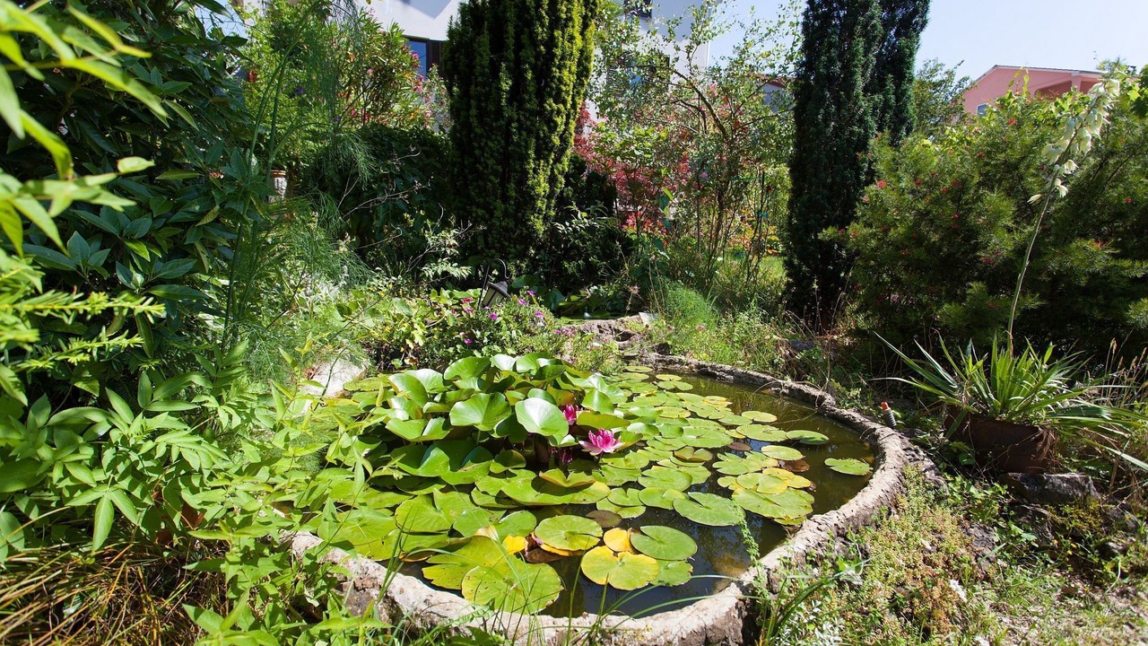 Photo of Outdoor in Milcetici