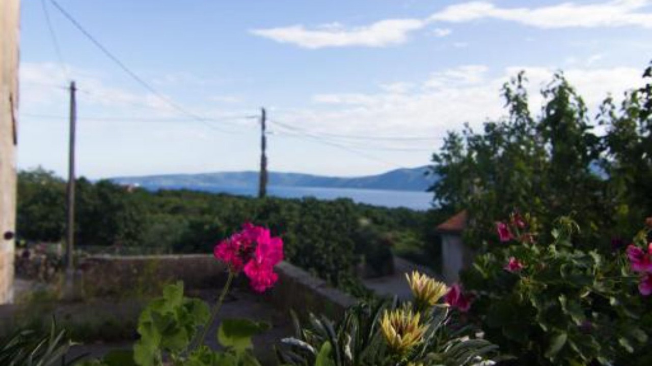 Photo of Outdoor in Brzac