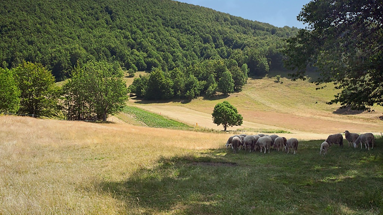 Photo of Others in Begovo Razdolje