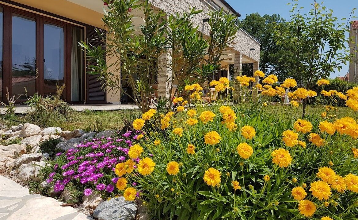 Photo of Outdoor in Pinezici