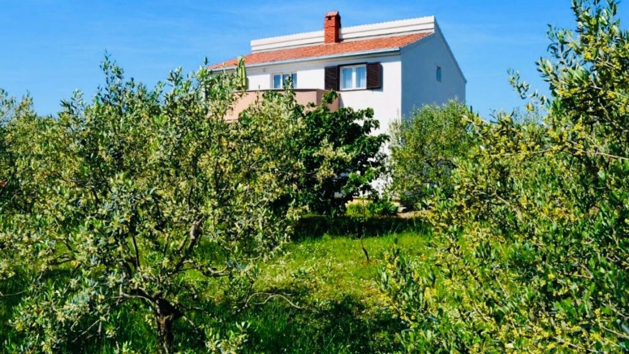 Photo of Outdoor in Gornje Selo