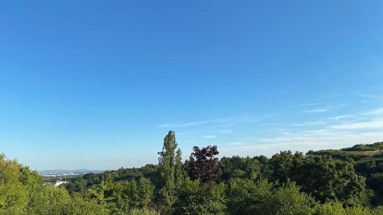 Photo of Others in Bad Soden am Taunus