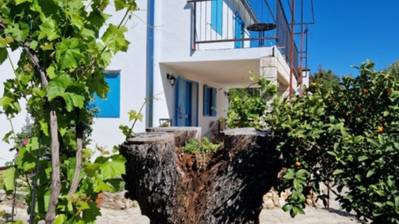 Photo of Outdoor in Marina
