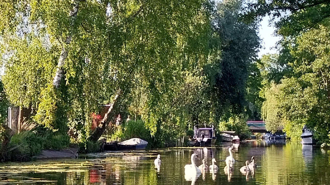 Photo of Others in Schumachersiedlung