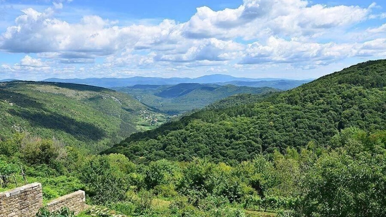 Photo of Others in Oprtalj