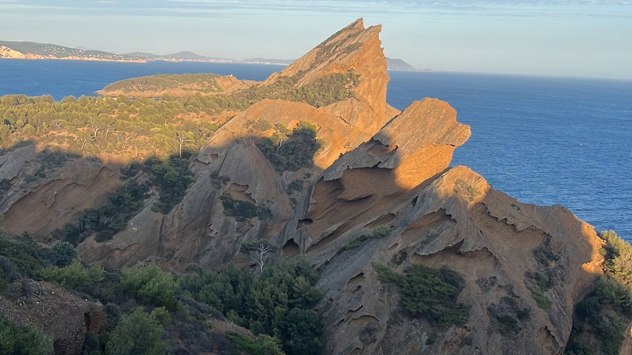 Photo of Others in La Ciotat