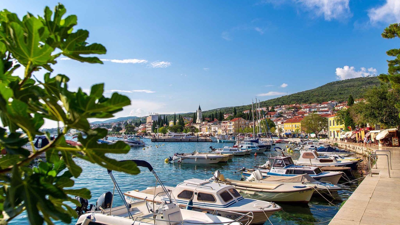 Photo of Others in Selce