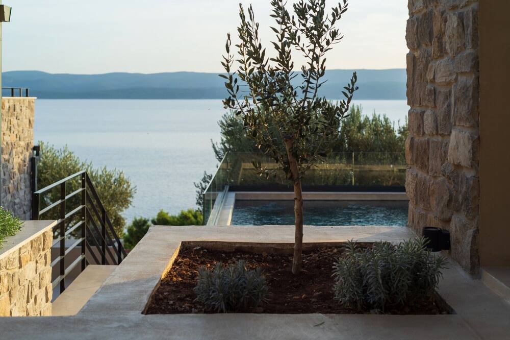 Photo of Outdoor in Medici