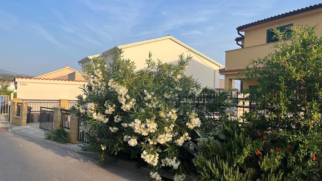 Photo of Outdoor in Barbat na Rabu