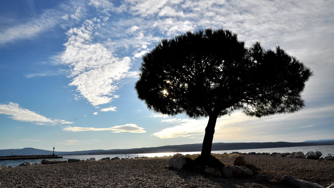Photo of Others in Crikvenica