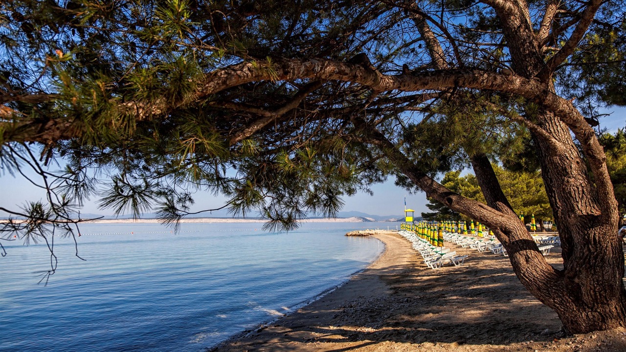 Photo of Others in Crikvenica