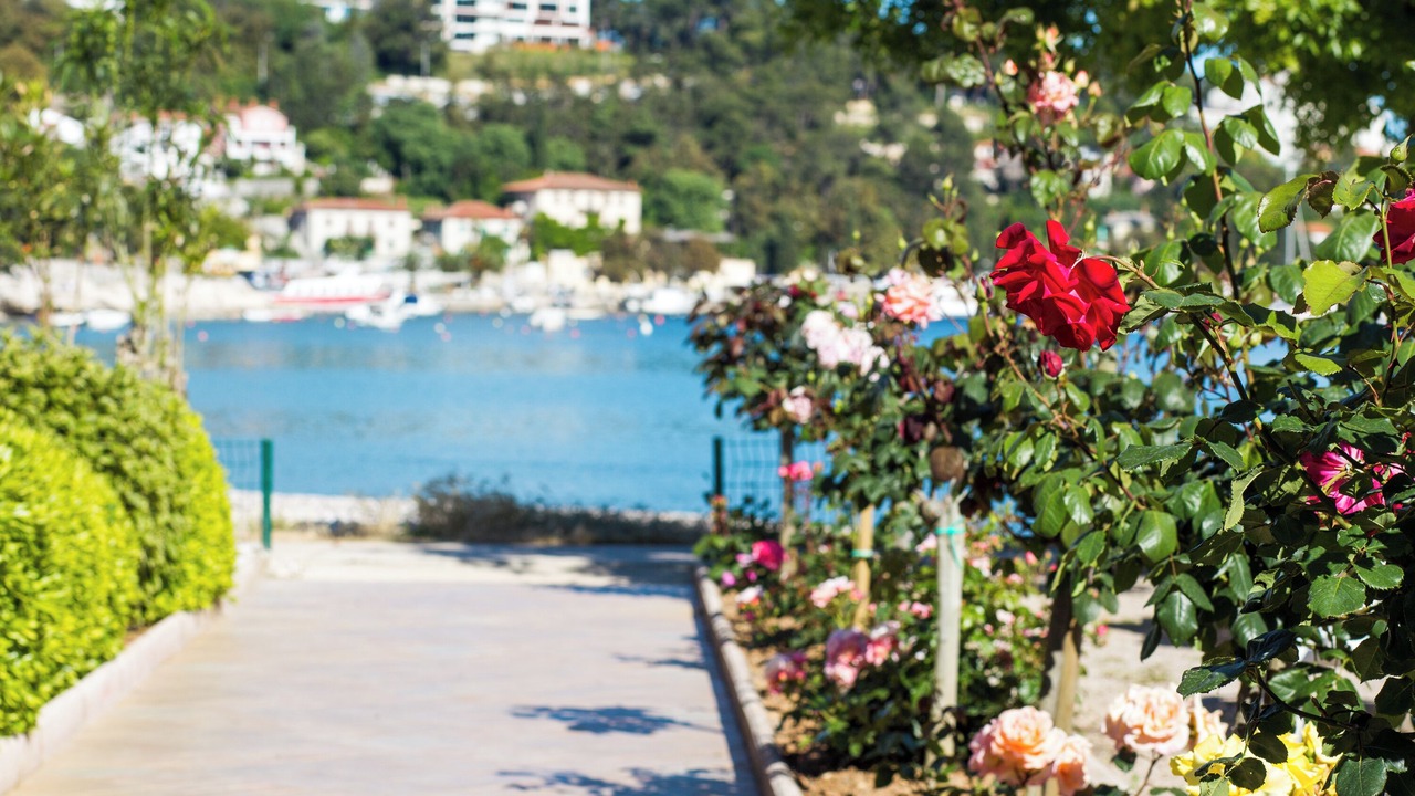 Photo of Outdoor in Rabac
