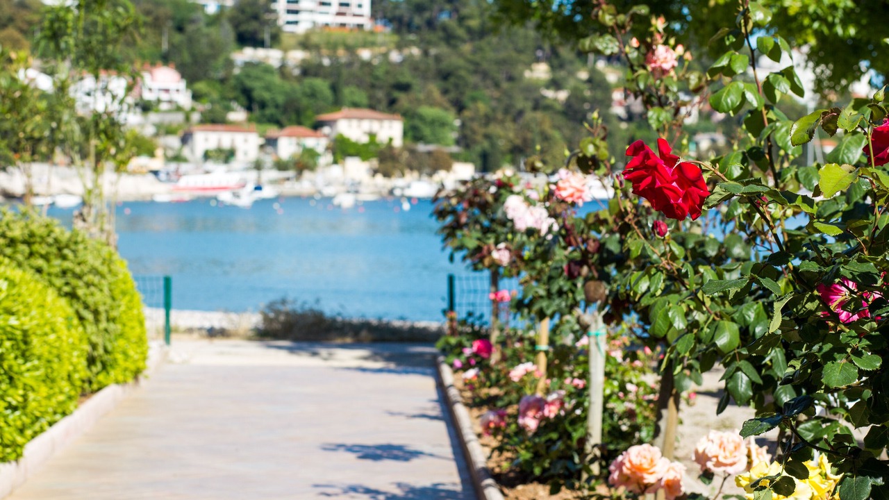 Photo of Outdoor in Rabac